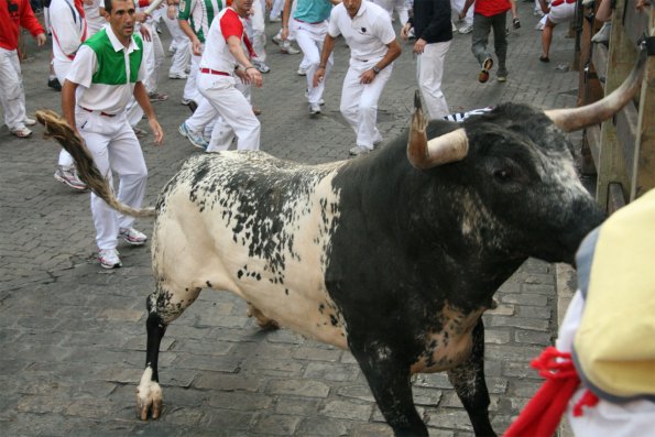ermitaño.jpg
