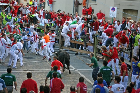 2007 suelto1.jpg