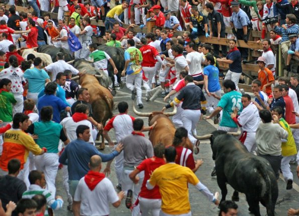 mira 2007,4.jpg