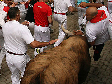 cogida