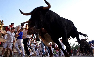 _2DDN2008201117h01m0060_d5583251