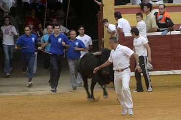 tudela%2008[1].jpg